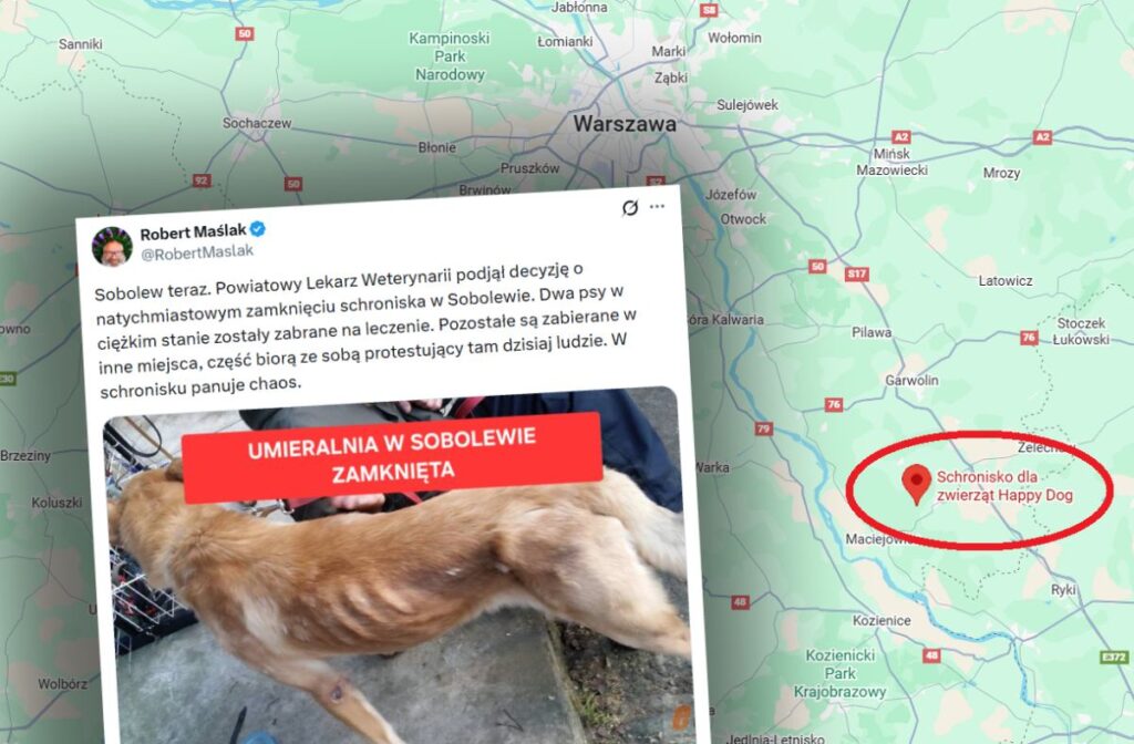 sobolew deki hayvan barinagi kapatildi 37602