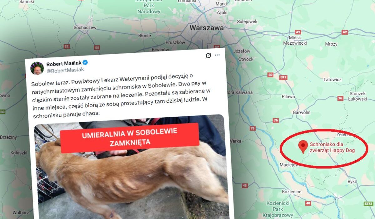 Sobolew deki hayvan barinagi kapatildi 37602