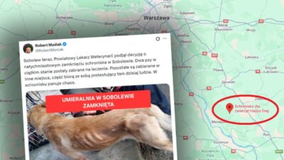 Sobolew deki hayvan barinagi kapatildi 37602