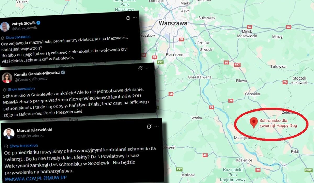 Sobolew hayvan barınağı kapatıldı, 180 köpek ve birkaç k tehlikeye girdi 1 Sobolew hayvan barinagi kapatildi 180 kopek ve birkac k tehlikeye girdi 37627