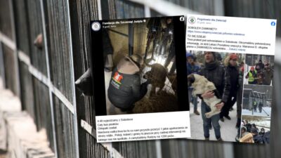 Sobolew hayvan barınağında kaoslu tahliye 🆘 4 Sobolew hayvan barinaginda kaoslu tahliye 37849