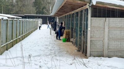 Sobolewe hayvan barınağı protestoları trump oldu 3 Sobolewe hayvan barinagi protestolari trump oldu 37596