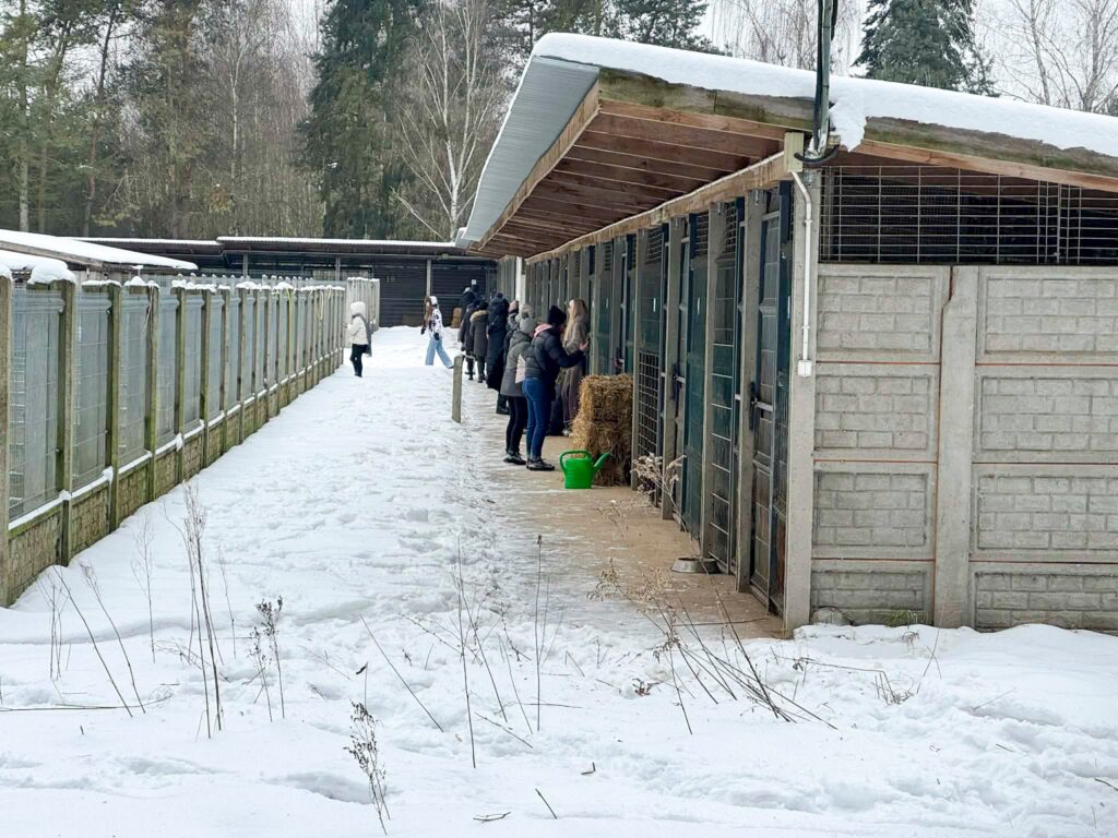 sobolewe hayvan barinagi protestolari trump oldu 37596
