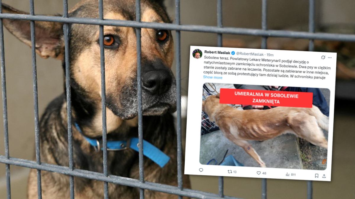 Sobolewie'de gösteri: "yeter artık ölenler" 1 Sobolewie de gosteri yeter artik olenler 37609