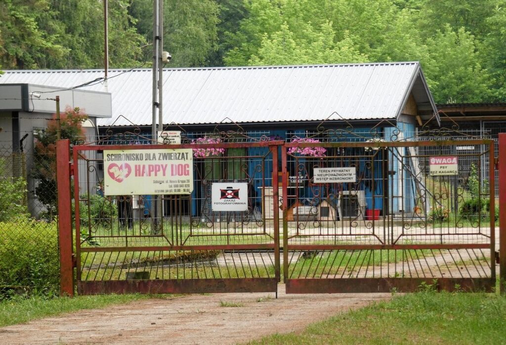 sobolewie hayvan barinagi krizine basbakan tusk tan tepki 37588