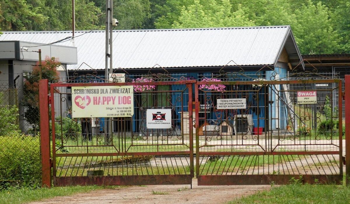 Sobolewie hayvan barinagi krizine basbakan tusk tan tepki 37588