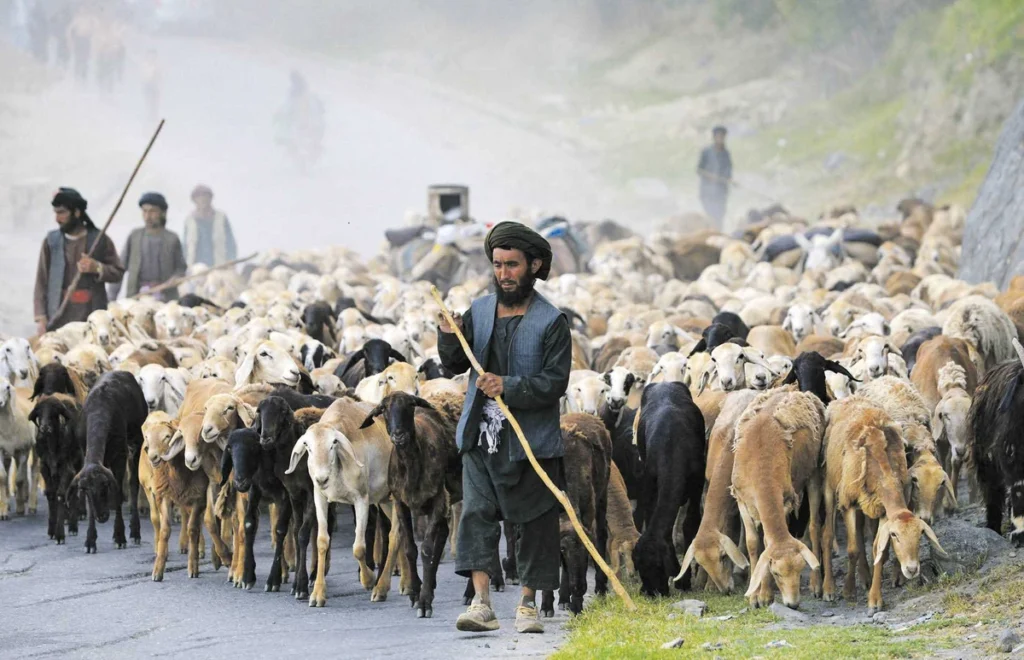 taliban lideri achundzada i c bolunmelerle emiratin yok olacagi uyarisinda bulundu 39923