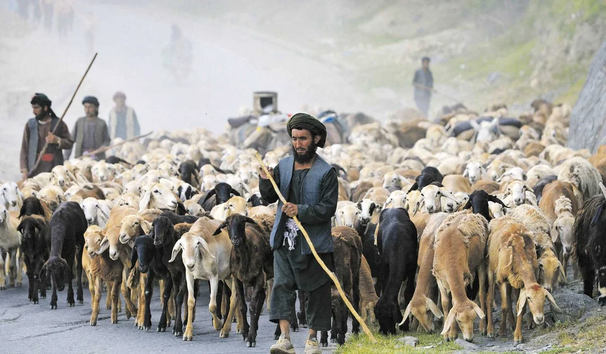 Taliban lideri achundzada i c bolunmelerle emiratin yok olacagi uyarisinda bulundu 39923