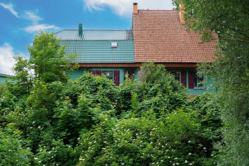 temyiz mahkemesi ormancilara verilen i ndirimlerin vergi muafiyetini onayladi 40046