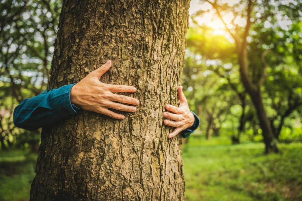tsue uyumlu orman kanunu tasarisi tartisma yaratti 34415