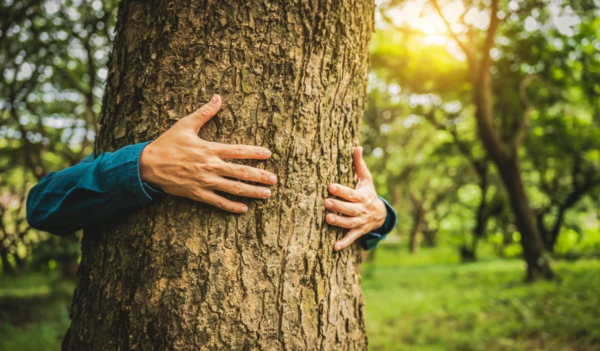 Tsue uyumlu orman kanunu tasarısı tartışma yarattı 1 Tsue uyumlu orman kanunu tasarisi tartisma yaratti 34415
