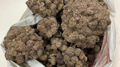 Varsova da buyuk miktarda uyusturucu operasyonu 33 yasli sahis tutuklandi 37024