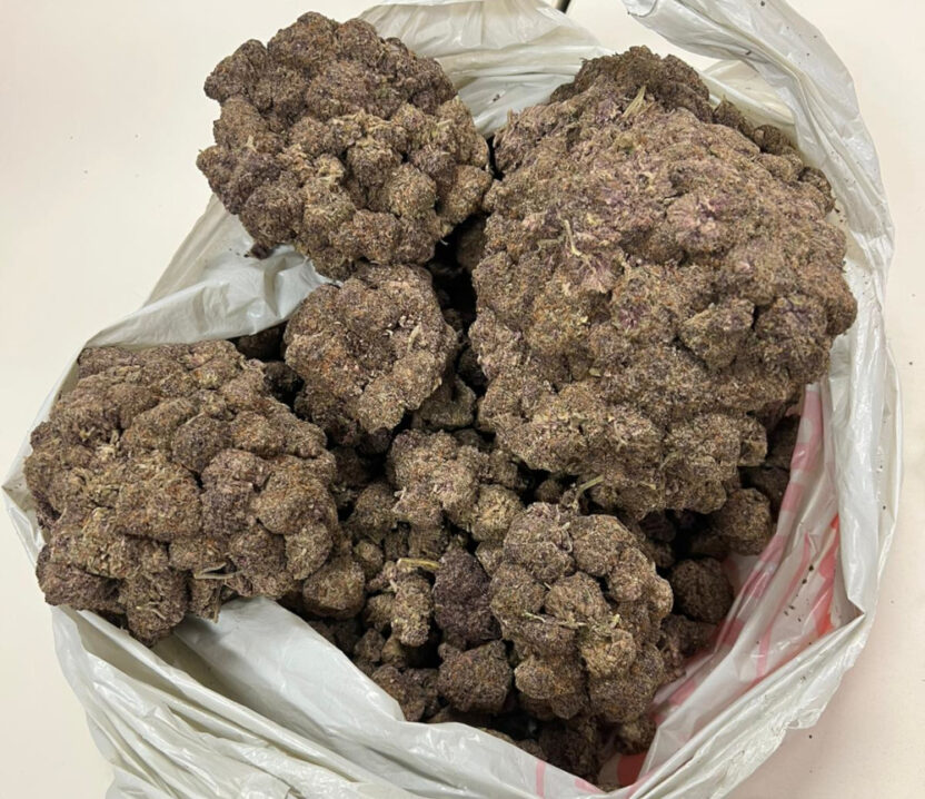 Varsova da buyuk miktarda uyusturucu operasyonu 33 yasli sahis tutuklandi 37024