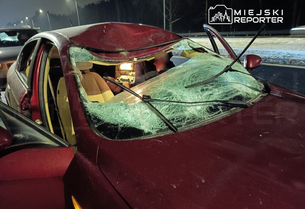 Varsova da orman hayvanlariyla i ki trafik kazasi ulasimda aksamalar 37375