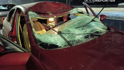 Varsova da orman hayvanlariyla i ki trafik kazasi ulasimda aksamalar 37375