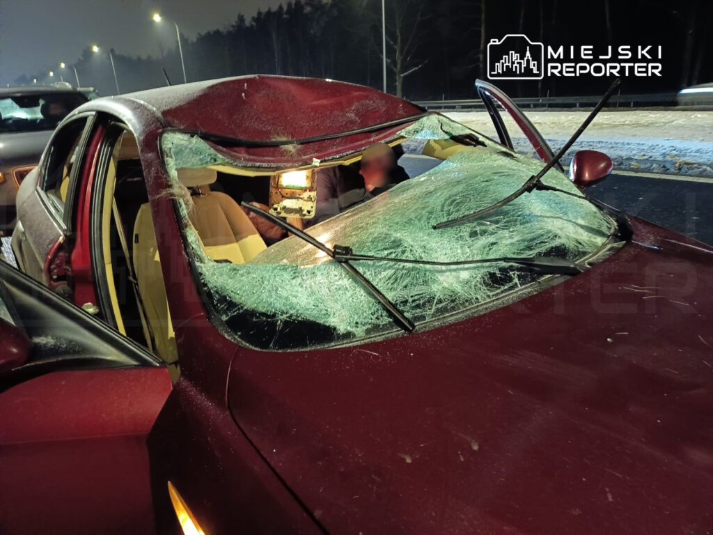 varsova da orman hayvanlariyla i ki trafik kazasi ulasimda aksamalar 37375