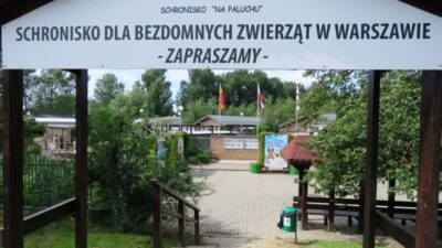 Varşova’daki “na paluchu” barınağı’na nik denetimi başlıyor 3 Varsova daki na paluchu barinagi na nik denetimi basliyor 38908
