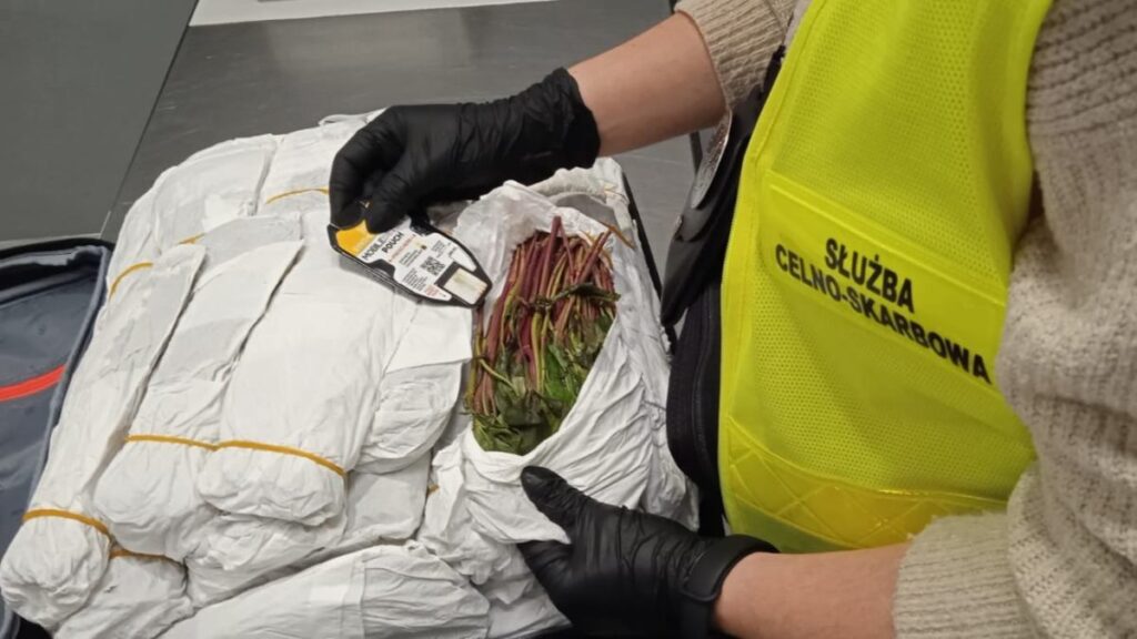 warszawa chopin havalimaninda 70 kilogram khat operasyonu 33769