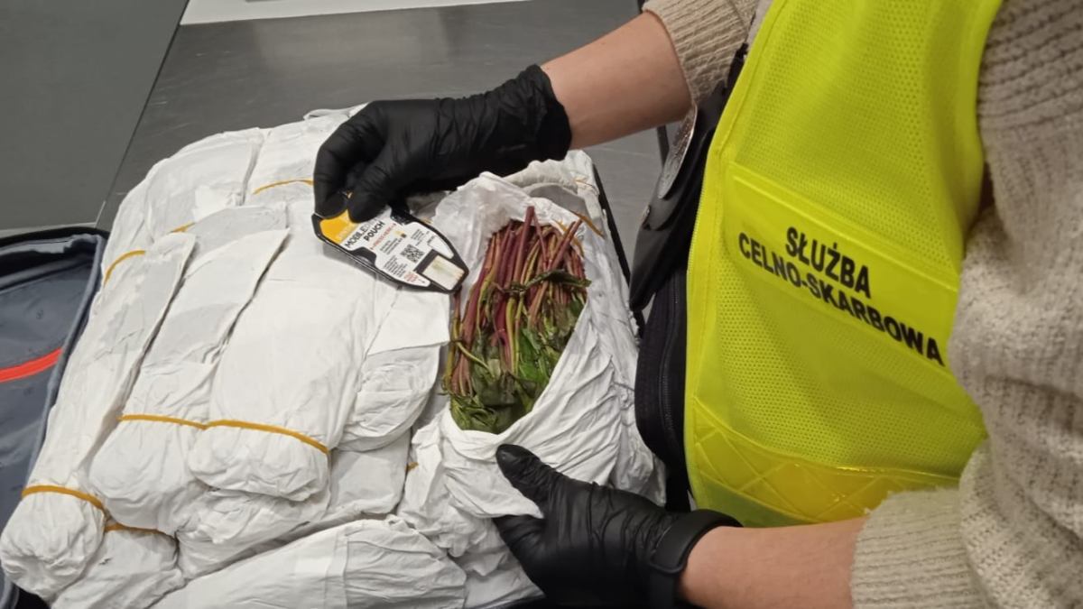 Warszawa chopin havalimaninda 70 kilogram khat operasyonu 33769