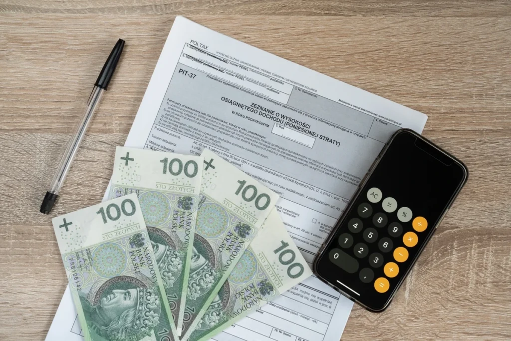 2025 donemi vergi i adesi subat ayinda geri odeme nasil alinir 46350