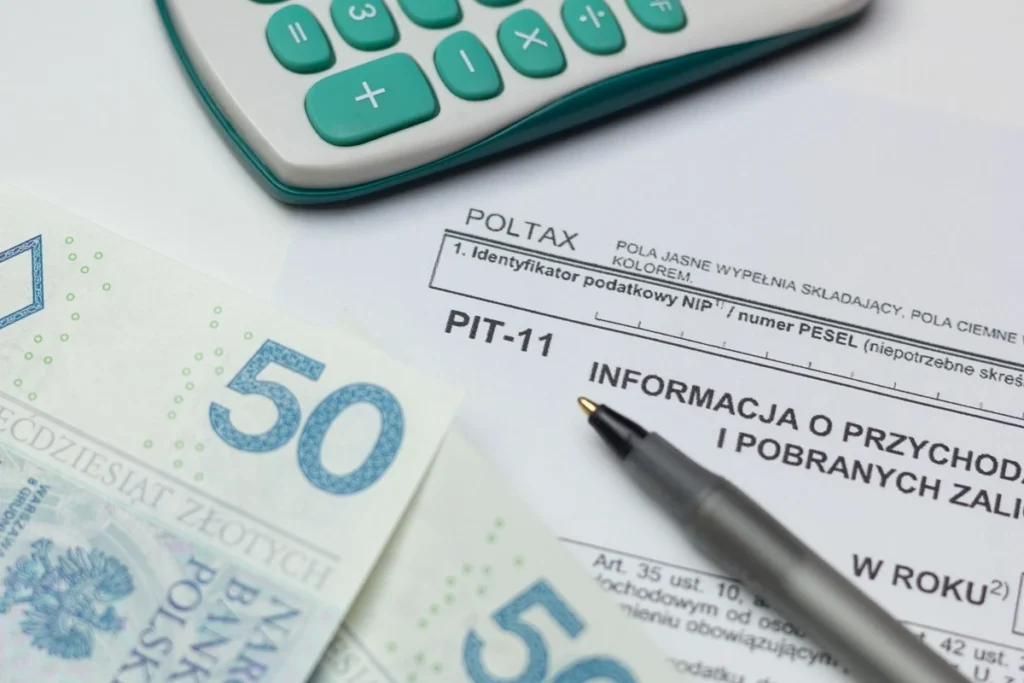 2025 vergi donemi e beyan sistemi 15 subat 2026 da hizmete girecek 46264