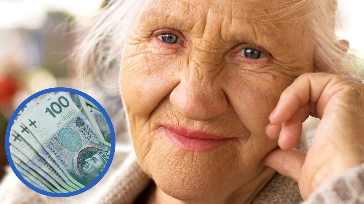 2026 donemi emekli ve yaslilar i cin sosyal yardimlar 48329