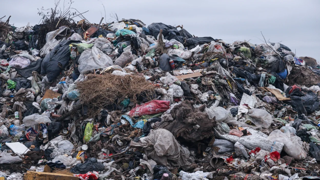 Deloitte uyariyor polonyada atik miktari 2050ye kadar 18 milyon tonu asacak dongusel ekonomi hedefleri risk altinda