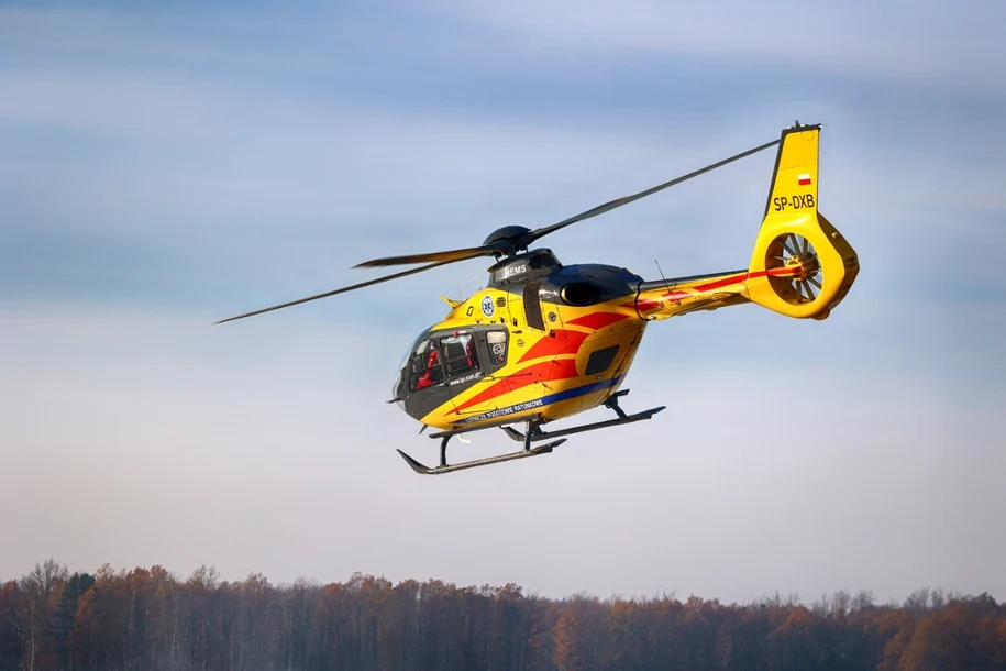 Wadowice yakinlarinda agac kesimi sirasinda feci kaza 24 yasindaki genc hayatini kaybetti