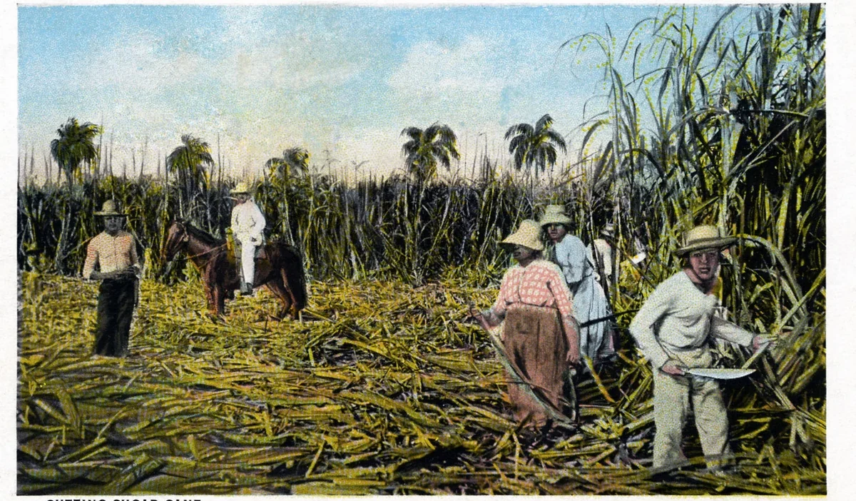 Abd kure ye yeni vergi getirirken kuba ekonomik soykirim 42985