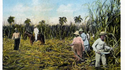 Abd kure ye yeni vergi getirirken kuba ekonomik soykirim 42985