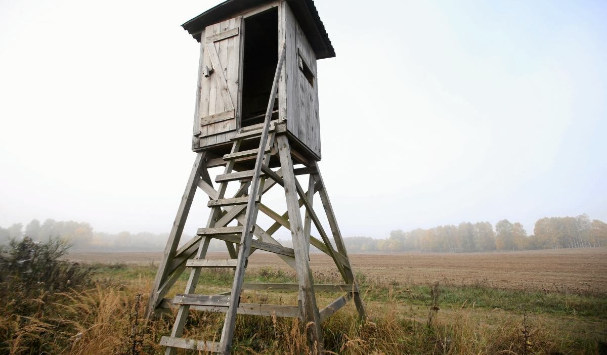 Avci koruma altinda iki bizonu oldurdu 41106