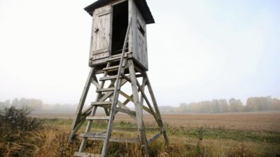 Avci koruma altinda iki bizonu oldurdu 41106