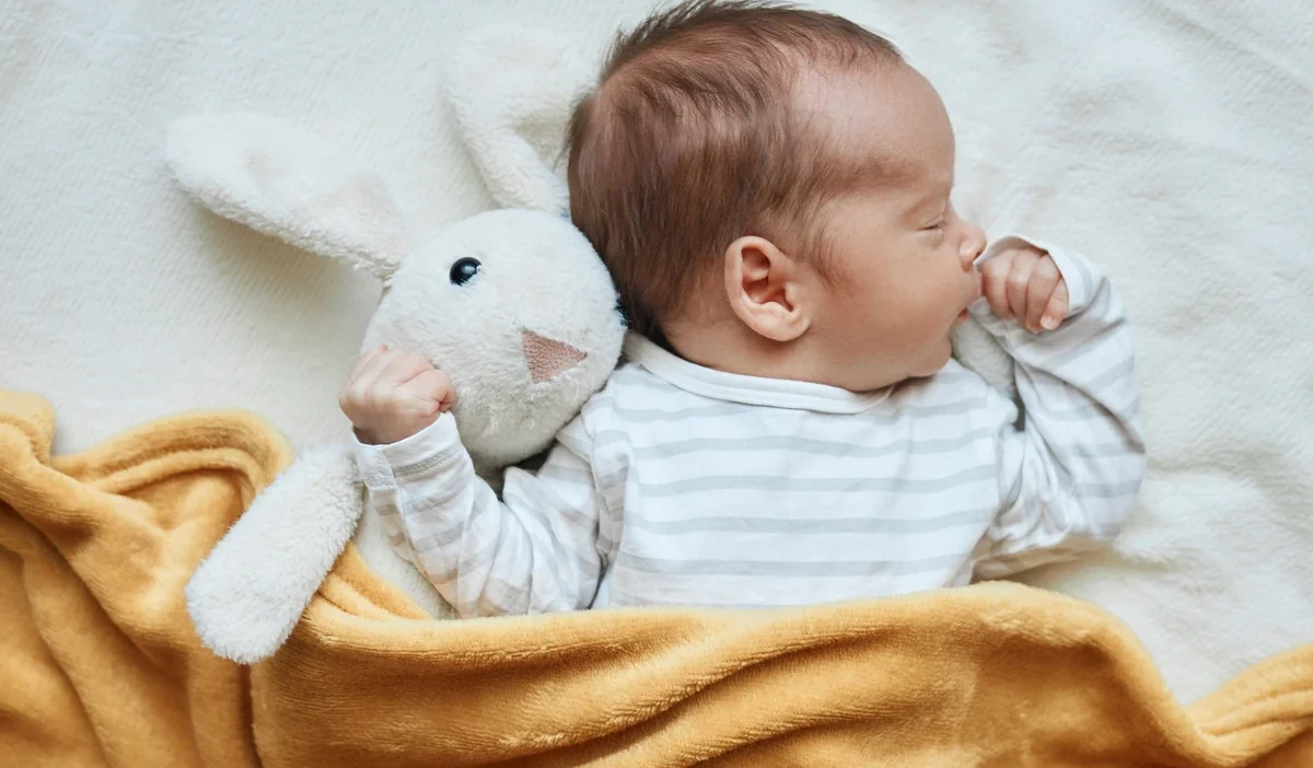 Belediyeler dogum tesvikleriyle nufus kaybina karsi cikiyor 47231