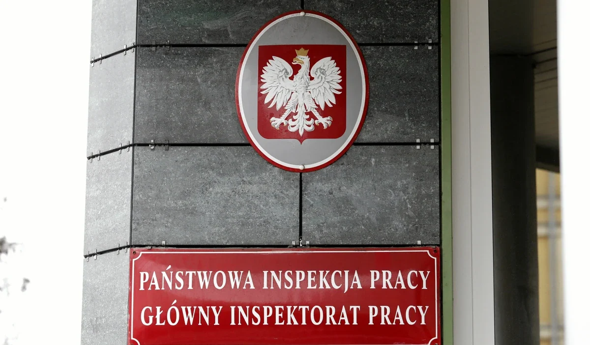 Calisma denetimi reformu ab uyum cercevesinde sozlesme donusumu yetkisi ve hak guvencesi 42386