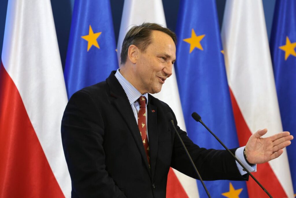 disisleri bakanligi ile cumhurbaskanligi sarayi arasinda baris konseyi anlasmazligi dezinformasyon iddiasi 45735