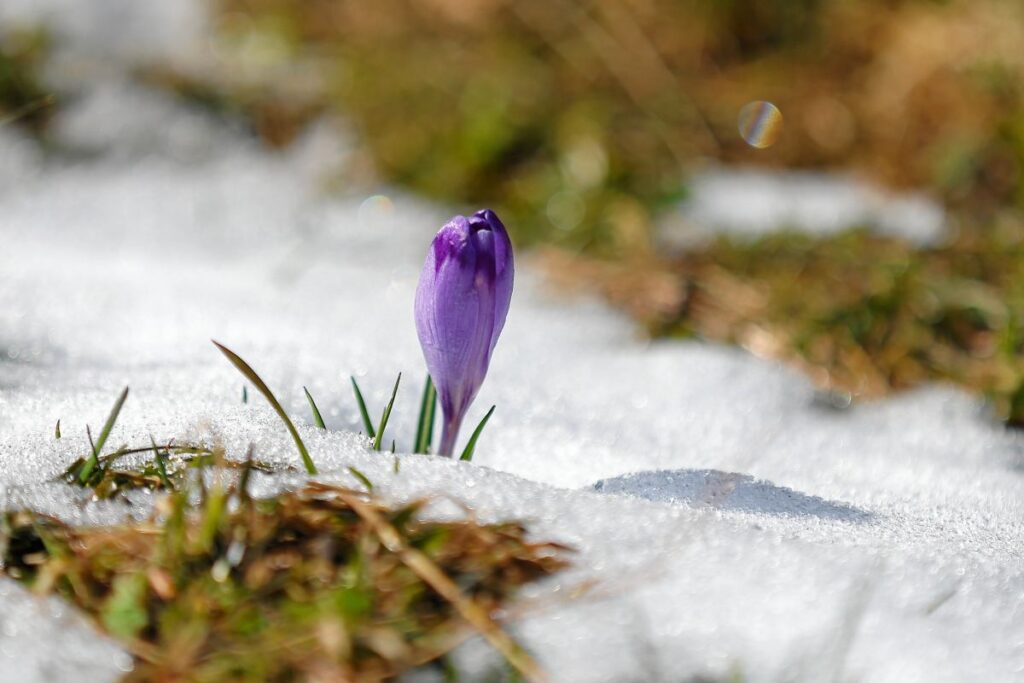 donanak sicaklik uyarisi 6 bolgede 15 derece 47810