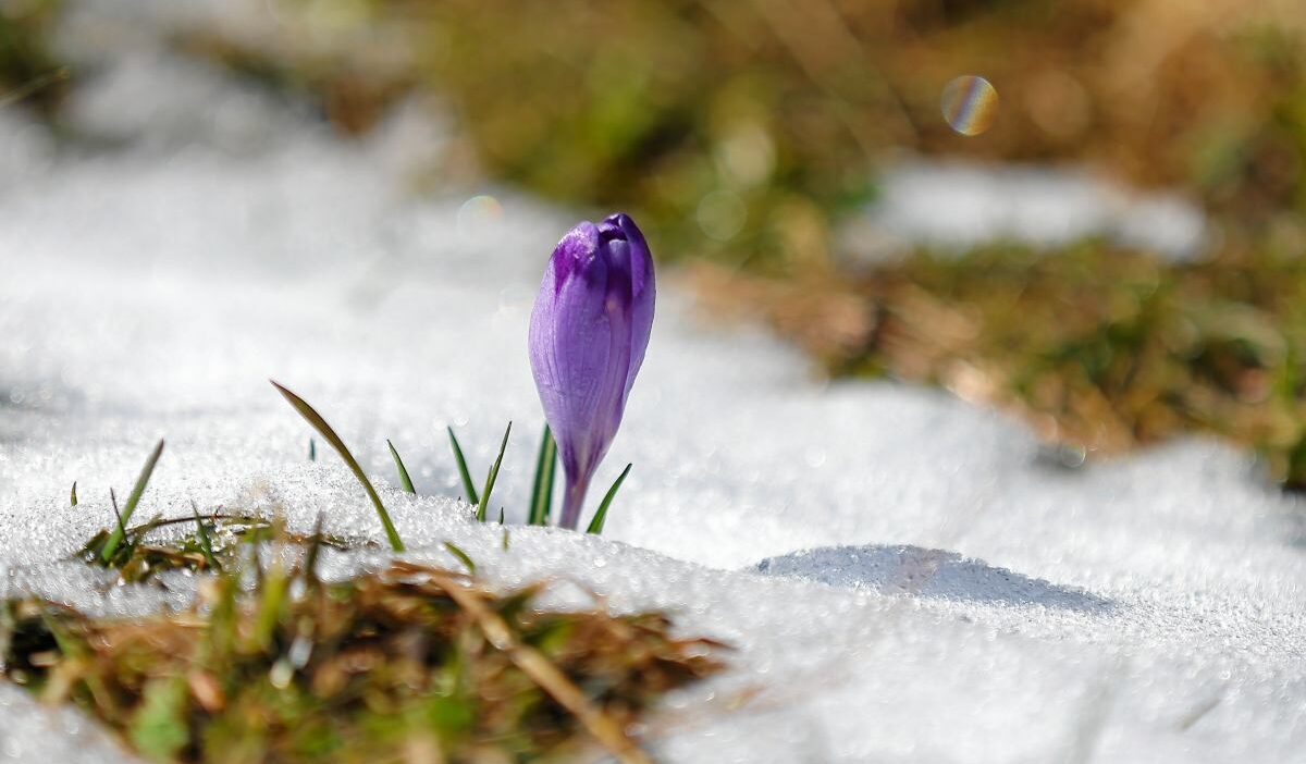 Donanak sicaklik uyarisi 6 bolgede 15 derece 47810