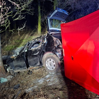 Gurcistan asilli ehliyetsiz surucu olumlu kaza sonrasi tutuklandi 47784