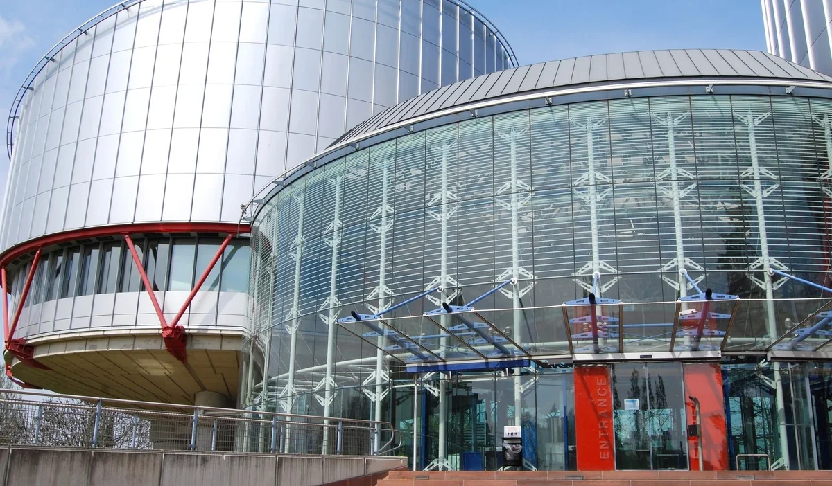 Gürcü avukatın 'informator' i̇ddiaları ve hukuki mücadelesi 1 Gurcu avukatin informator i ddialari ve hukuki mucadelesi 49056