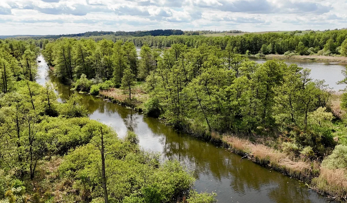 Hukuki sorunlar i dari davalarda temel sorular 42077