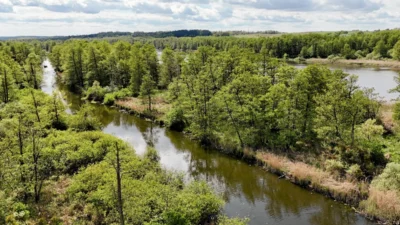 Hukuki sorunlar i dari davalarda temel sorular 42077