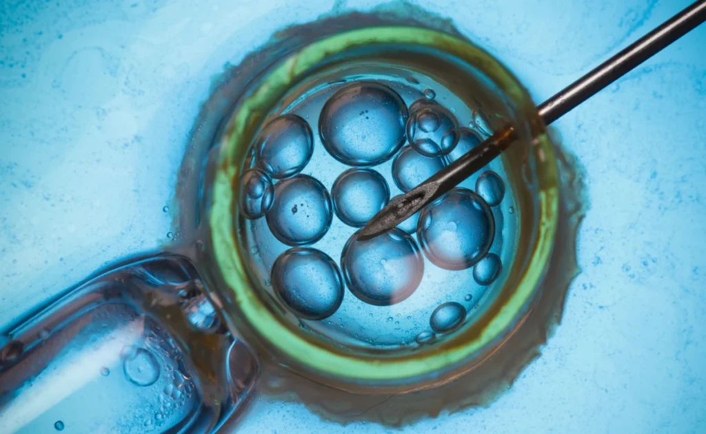 i nfertilite tedavi yasasi nda embryo i mplantasyonu ve riza sorunu rpo yasayi anayasaya uygun buldu 47016