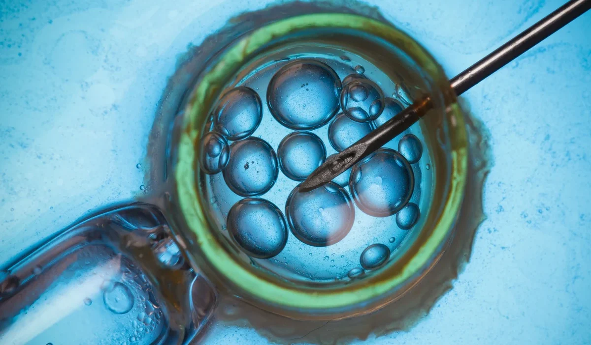 I nfertilite tedavi yasasi nda embryo i mplantasyonu ve riza sorunu rpo yasayi anayasaya uygun buldu 47016