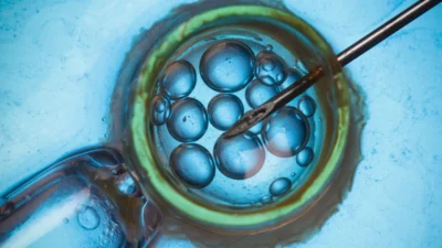 I nfertilite tedavi yasasi nda embryo i mplantasyonu ve riza sorunu rpo yasayi anayasaya uygun buldu 47016