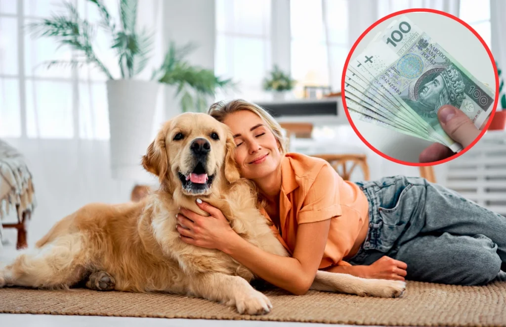 kopek ve kediler icin zorunlu ciplemeye onay 46051