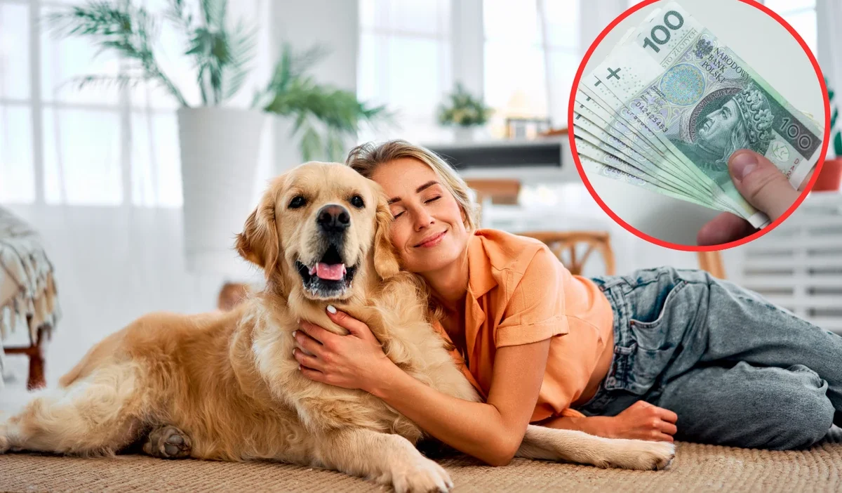 Kopek ve kediler icin zorunlu ciplemeye onay 46051