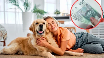 Kopek ve kediler icin zorunlu ciplemeye onay 46051