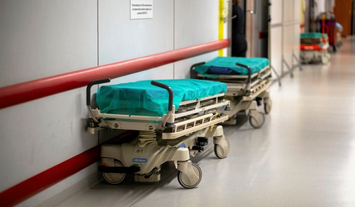 Kraków'da genç hastalara denga tanısı konuldu 1 Krak w da genc hastalara denga tanisi konuldu 47007