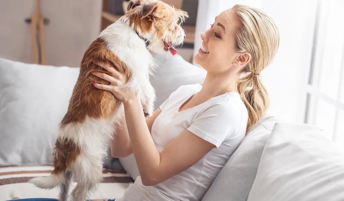 Kropik i cin para bulundu uygulayici henuz belirsiz 44954