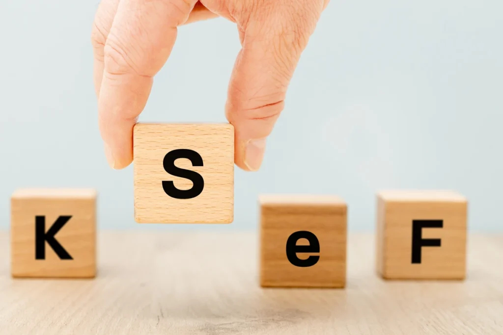 ksef sisteminin resmi baslangicini takiben guvenilir profil arizasi 41575